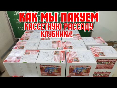 Видео: /Как мы пакуем, и отправляем кассетную  рассаду! /