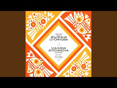 Видео: Димитър кара гемия