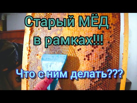 Видео: Мёд сел в сотах! Что с ним можно сделать, несколько робочих вариантов.