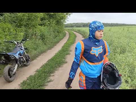 Видео: Море грибов вместо рыбы😲