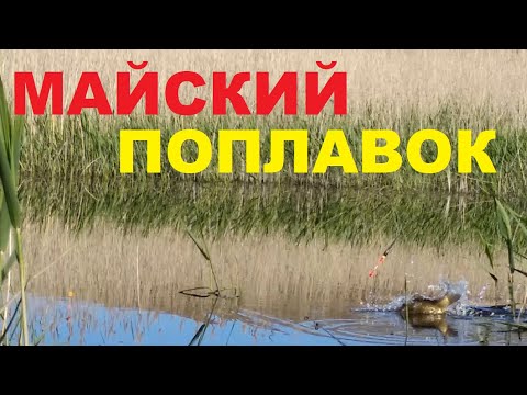 Видео: В Мае ! На поплавок.
