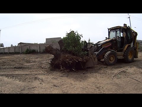 Видео: Удивительная техника ! Подробная работа от начала до конца!