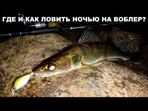 Видео: Ночная ловля на воблеры. Снасти/приманки/проводки/места ловли/лайфхаки. Первая рыбалка 2020!