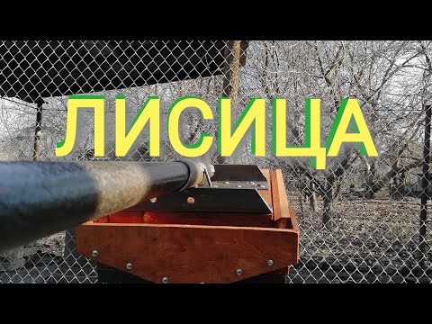 Видео: Воскопресс лисица, почему он лучше чем винтовой.