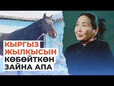 Видео: 73 жаштагы Зайна Базарбаева — тоо койнунда ат чаап, 100дөй асыл тукум жылкы баккан өзгөчө фермер.