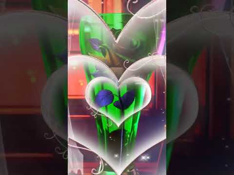 Видео: Красивого вечера...