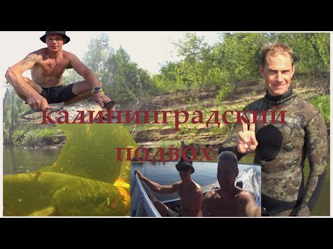 Видео: Несколько дней подводных охот на Волге с калининградским подводным охотником
