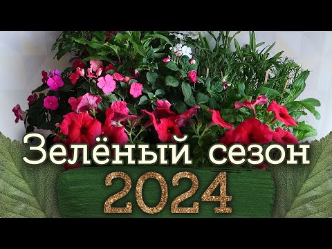 Видео: Зеленый сезон 2024 - Клубника, Клумба, Крыльцо и Грядки | Masherisha