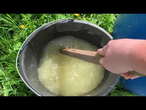 Видео: Подкармливаю томаты.2 июня 2021 г.