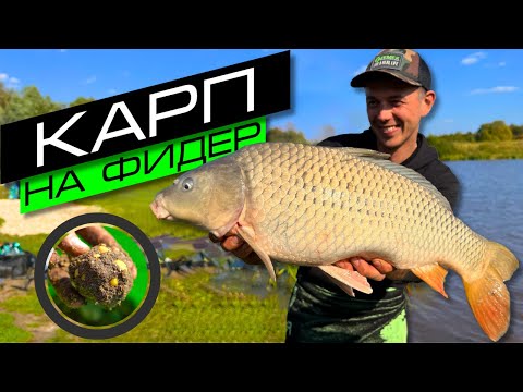 Видео: ЛОВЛЯ КАРПА НА ФИДЕР / КАК ПОЙМАТЬ КРУПНУЮ РЫБУ / FROS FISHING
