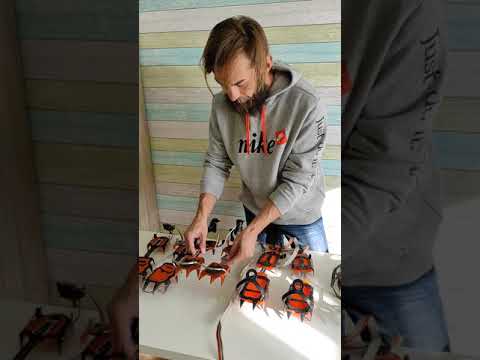 Видео: Обзор кошек для альпинизма Как выбрать? Различия, особенности