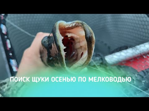 Видео: ПОИСК ЩУКИ ОСЕНЬЮ ПО МЕЛКОВОДЬЮ!!! ЧТО СЛУЧИЛОСЬ С ЛОДКОЙ И КАК ЭТО ИСПРАВИТЬ?