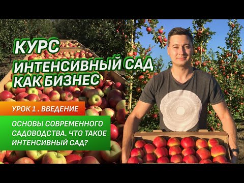 Видео: Что такое интенсивный сад? Как заработать на яблоках?