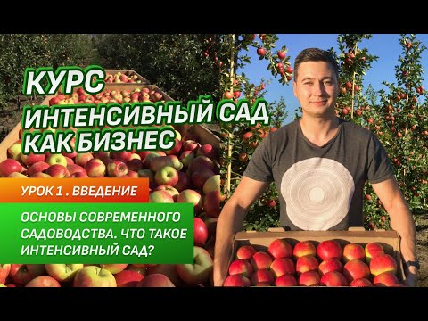 Видео: Основы современного садоводства. Что такое интенсивный сад? Как заработать на яблоках?