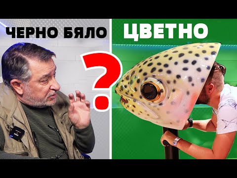 Видео: ВИЖДАТ ли РИБИТЕ ЦВЕТНО??? КАКВО УСЕЩАТ със страничната си линия?