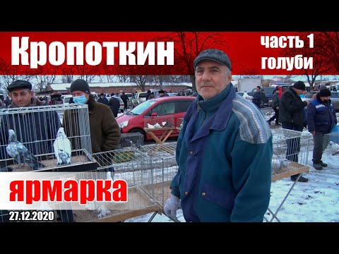Видео: Птичий рынок - Кропоткин [27.12.2020]. Часть 1 - голуби.