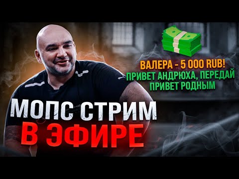 Видео: СТРИМ МОПС ДЯДЯ ПЕС Андрей Щадило #юмор