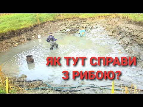 Видео: Спуск озера без техніки, яке зарибнював 5 р. тому