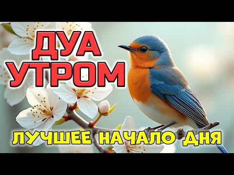 Видео: САМОЕ ЛУЧШЕЕ НАЧАЛО ДНЯ — С ЭТИМ ДУА ☀️🤲