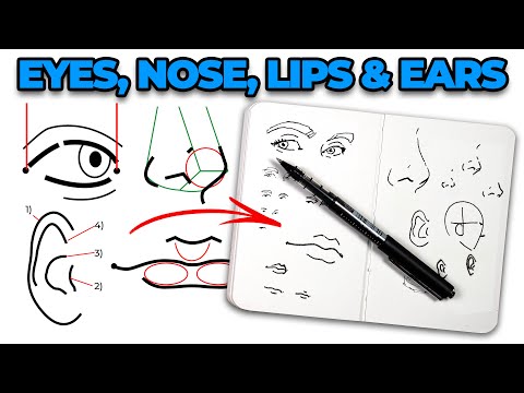 Видео: Как нарисовать ГЛАЗА, НОС, ГУБЫ и УШИ простыми линиями чернил!