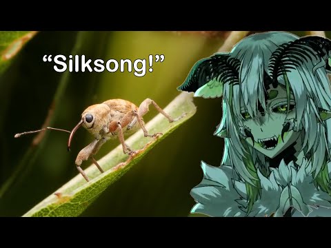 Видео: Bug VTuber смотрит странные видео о насекомых