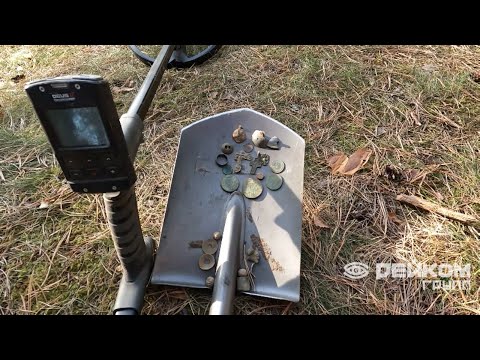 Видео: Удачно сходили в лес c XP DEUS 2