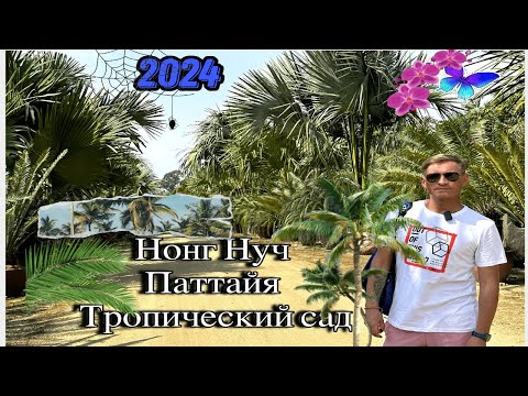 Видео: Нонг Нуч Паттайя Тропический сад в Таиланде 2024 ОБЗОР. Nong Nooch Tropical Garden 2024