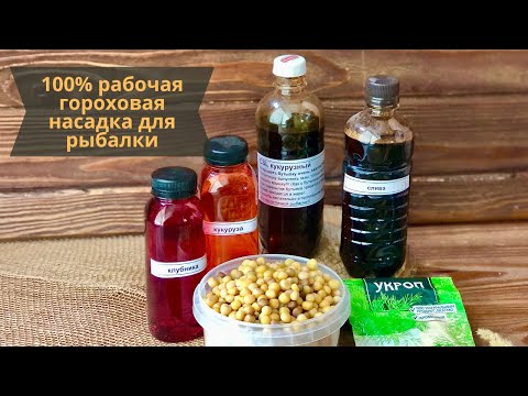 Видео: Лучшый рецепт гороховой насадки на карпа, сазана, карася. Рыбалка на холодной воде.