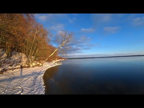 Видео: Становление льда. Первая рыбалка со льда 2021. Прикормка и первый улов.