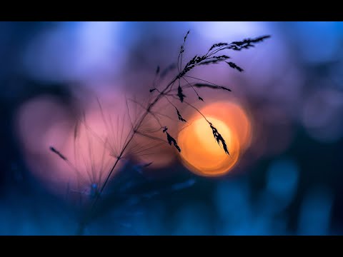 Видео: Жизнь после утраты. Беседа Алены Солодиловой и Елены Кайгородовой. 27.10.24