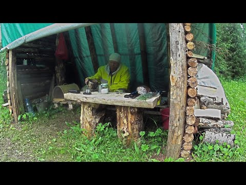 Видео: ЛЕСНОЕ ВИДЕО