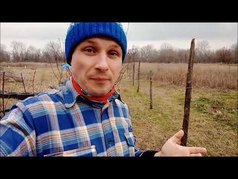 Видео: Установил электропастух - свиньи стали послушными/Новая Жизнь РоМашки