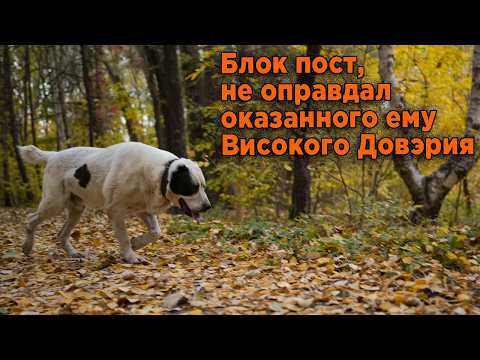 Видео: Блок пост для Волкодава, не оправдал моих ожиданий.