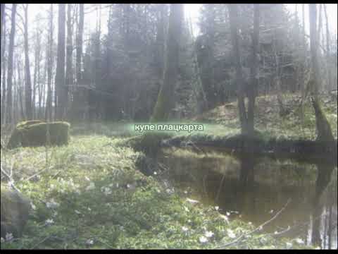 Видео: Купе плацкарта - Электрофорез (Slowed)