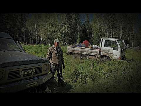 Видео: Орех 2024/Часть 2