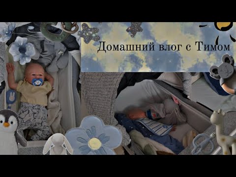 Видео: Домашний влог с Тимом #реборнкукла #реборн #куклареборн #влогсреборном 
