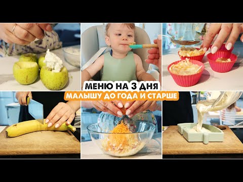 Видео: 👶ДЕТСКОЕ МЕНЮ ДЛЯ РЕБЕНКА ДО ГОДА И СТАРШЕ🍏НА 3 ДНЯ🥦НАШЕ МЕНЮ В 11 МЕСЯЦЕВ