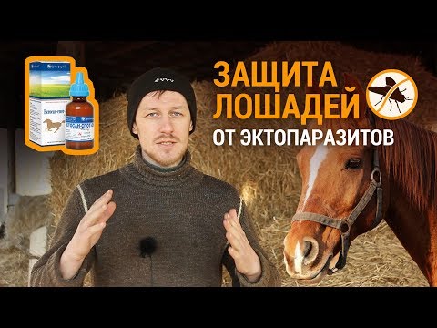 Видео: Защита лошадей от эктопаразитов