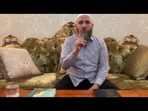 Видео: 10 факторов распространения псевдосалафизма