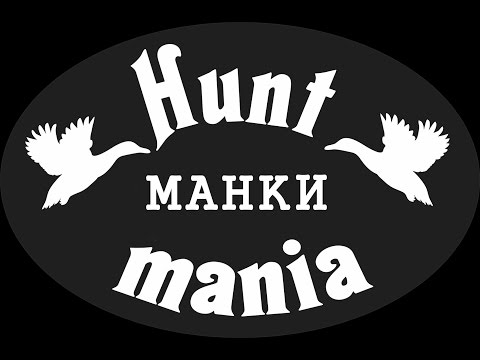 Видео: Манки Hunt Mania от Игоря Близнюка.