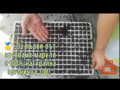 Видео: 🥇 „За първи път засяваме маруля с 100% натурална органична тор!“