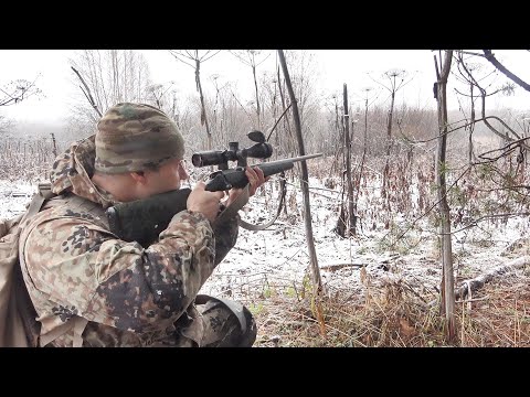 Видео: Охота по первому снегу. Эти тетерева заставили меня побегать!!! Большие стаи над полями.