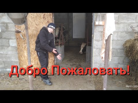 Видео: ПОДРОБНО РАЗМЕРЫ.Нашего Коровника!советы,пожелания.