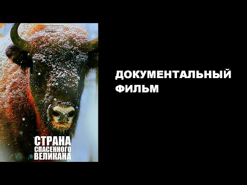 Видео: СТРАНА СПАСЕННОГО ВЕЛИКАНА | Документальный фильм