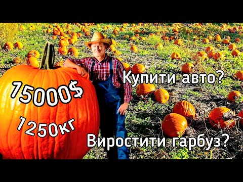 Видео: Найбільший гарбуз за всю історію