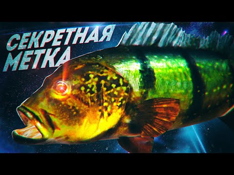 Видео: НАКОНЕЦ-ТО Я ТЕБЯ НАШЕЛ