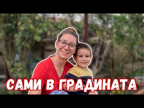 Видео: Подготовка за зимата | ЖИВОТ НА СЕЛО