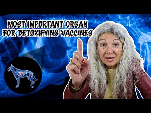 Видео: Реакции на вакцину: немедленные и долгосрочные