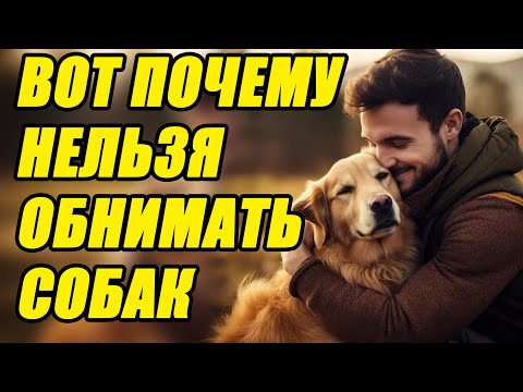 Видео: НЕЛЬЗЯ ОБНИМАТЬ собаку! Вот ПОЧЕМУ эксперты ЗАПРЕЩАЮТ!