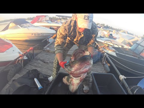 Видео: Удачная подводная охота для Славика